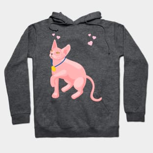 3d effect pink cat with medal Hoodie